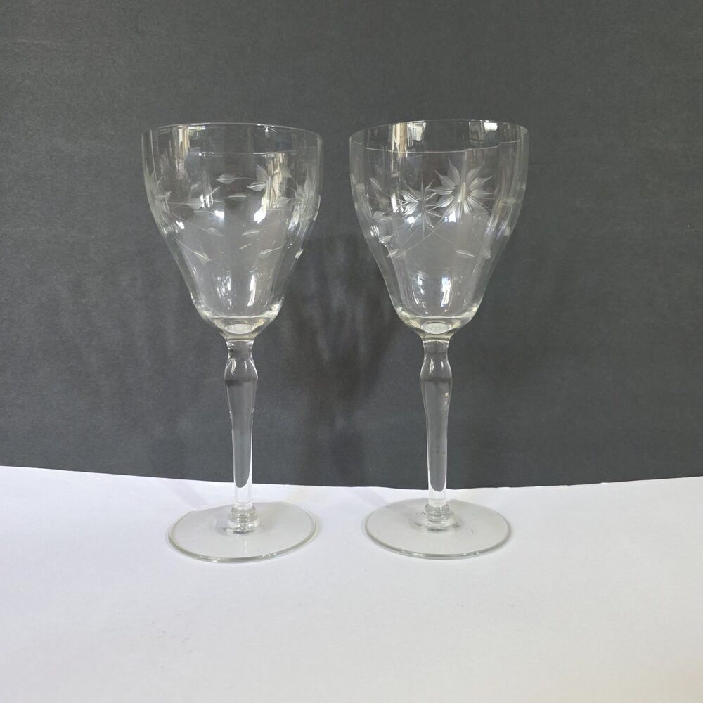 Crystal Etched Water Goblets Set Of 2